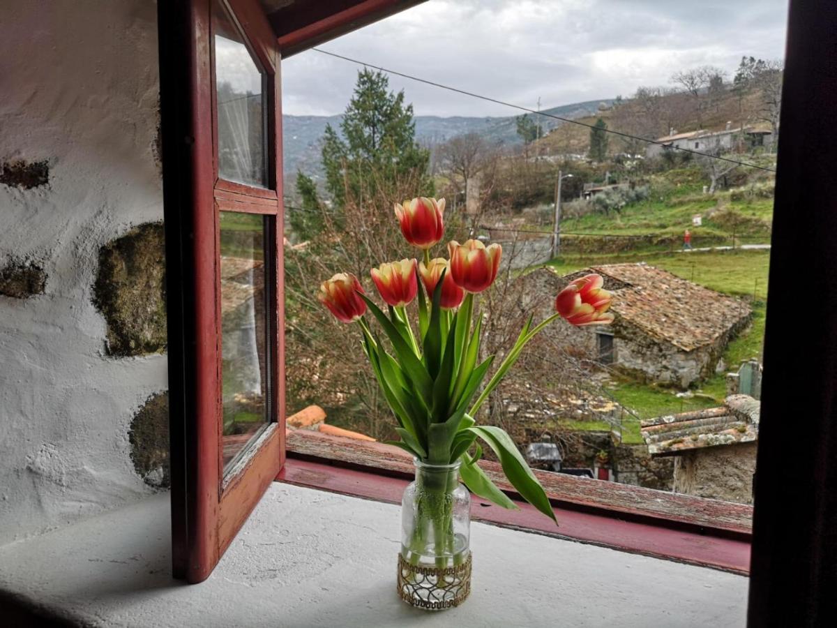 Casas Na Terra Villa Seia Kültér fotó